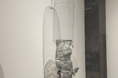 IMG_9555