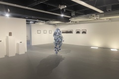 IMG_7961
