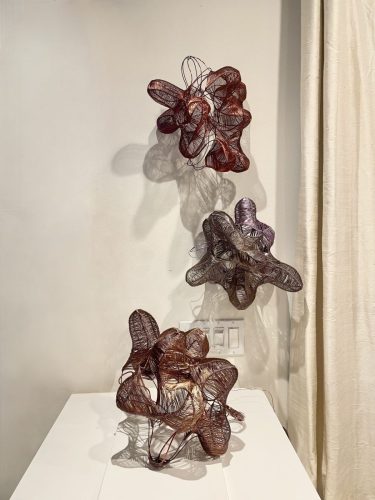 Chrysalis 8, 9,11