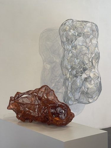 Walk Slowly - Unknown Path 1, Nest