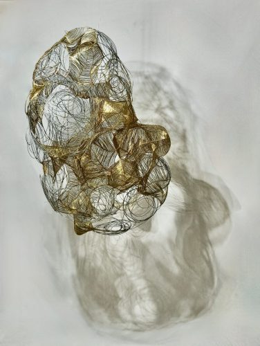 Chrysalis 14 